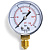 355413 манометр Tervix Pro Line 100 0-10бар 1/2" рад.