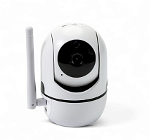 471421 Внутрішня панорамна WiFi камера Tervix Pro Line Minion Cam WiFi