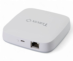 401111 Провідний Ethernet контролер Tervix ZigBee Wired Gateway