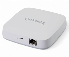 401111 Провідний Ethernet контролер Tervix ZigBee Wired Gateway